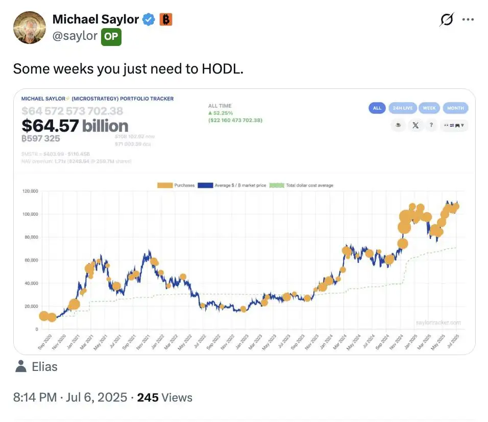 Michael Saylor 重申比特币 HODL 策略，Strategy 增持模式进入观察期
